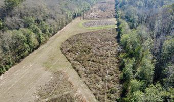 County Road 72, Ariton, AL 36311