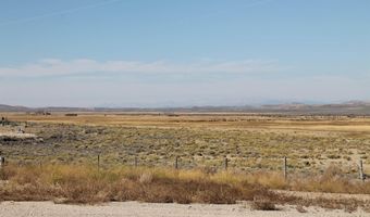 14 Cottonwood Ryegrass, Daniel, WY 83115