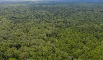 1 Highway 157, Benton, LA 71006
