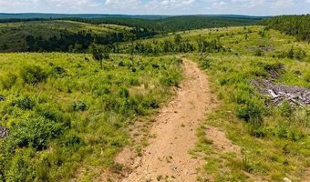 N 4295 Road, Antlers, OK 74567