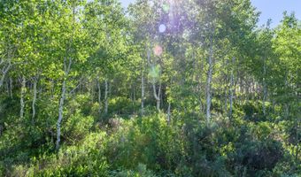 CARROLL Lane, Daniel, WY 83115