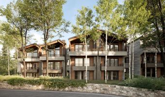 610 S West End St D105, Aspen, CO 81611