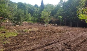 15 Richardson Rd, Hiram, ME 04041