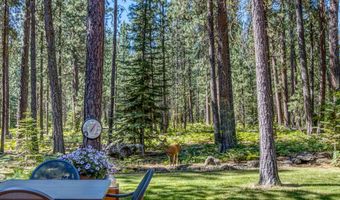 13461 Hawks Beard SH43, Black Butte Ranch, OR 97759