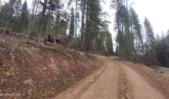 480 Dunn Peak Rd, Avery, ID 83802