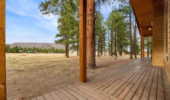 7 A County Road N2312, Alpine, AZ 85920