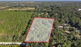 912 22nd Ct, Bell, FL 32619