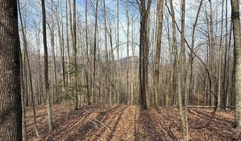 1029 Chippawa Dr 67, Arden, NC 28704