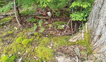 114 E Shore Rd, Benedicta, ME 04733