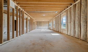 419 Beavertail Rd, Ash Grove, MO 65604
