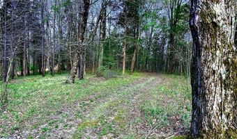 1361 Walkers Chapel Rd, Adolphus, KY 42120