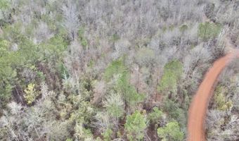 21000 Block Hwy 21, Beatrice, AL 36425