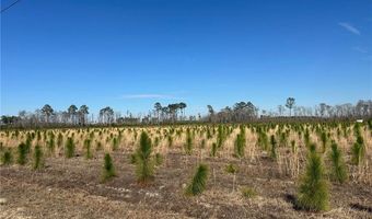 Tract 18 Sellers Road NW, Baxley, GA 31513