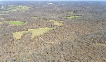 2259 Racetrack Hollow Rd, Anderson, MO 64831