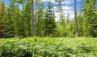 70 Big Cedar, Bigfork, MT 59911