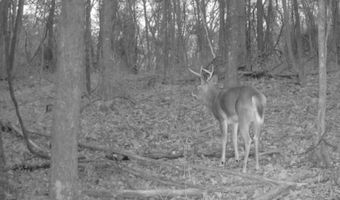 9888 Salem Rd, Athens, OH 45701