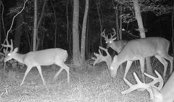 2200 Gillionville Rd, Albany, GA 31707