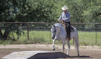 3155 W Elephant Head Rd, Amado, AZ 85645