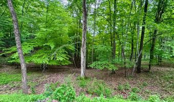 2062 Jake Fork Rd, Arnoldsburg, WV 25234