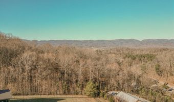 194 Pleasant Ridge Lane Ln, Bean Station, TN 37708