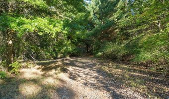 VL 61acres 34th, Allegan, MI 49010