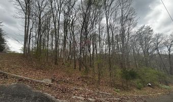 County Road 197, Athens, TN 37303