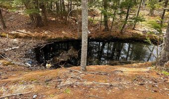 TM 413 L 99 King Road, Alexandria, NH 03222