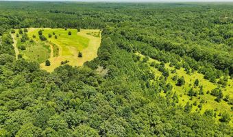568 COUNTY ROAD 15 Lot 1, Autaugaville, AL 36003