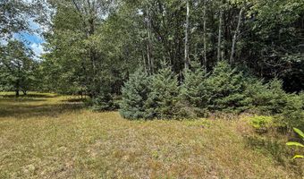 39 Acres N Pingree Rd, Alma, MI 48801