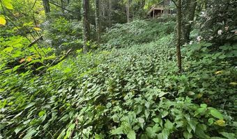 Tbd Clubhouse Drive, Banner Elk, NC 28604