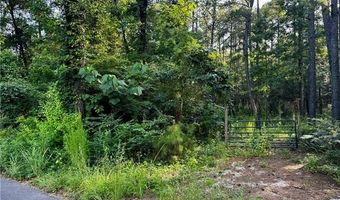 Parcel 3 WARD LINE Road lot Par 3, Bogalusa, LA 70427