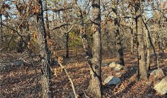 Tract 3 Rural Atoka, Atoka, OK 74525