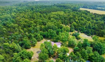 14143 Erdman Rd, Arcadia, MI 49613