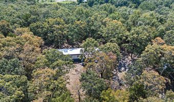 282 280 Rush Rd, Atkins, AR 72823