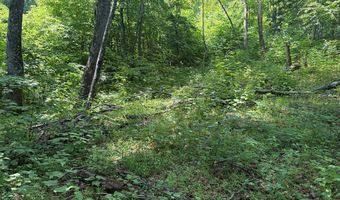 281 Scotts Branch Rd, Amherst, VA 24521