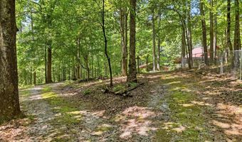1525 Sperin Rd, Ball Ground, GA 30107