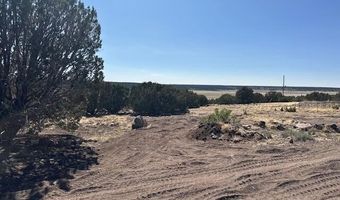 68 County Rd N8171, Concho, AZ 85924