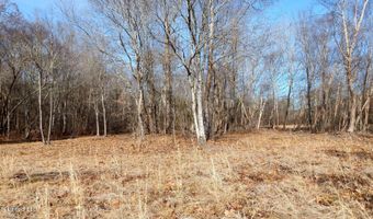 590 247 Country Rd, Bruce, MS 38915