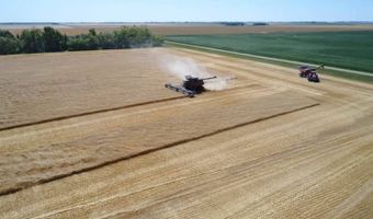 County Road 47 Ne1/4 35-161-76, Bottineau, ND 58318