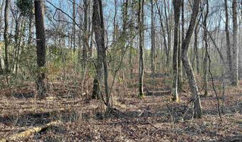 0009 SPRINGHOLLOW Rd Lot 9, Ashville, AL 35953