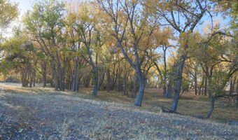 TBD County Road 170, Agate, CO 80101