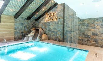 46 Avondale Lane 312 Calendar Weeks 49 & 50, Beaver Creek, CO 81620