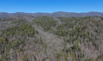 6387 Airport Rd, Andrews, NC 28901