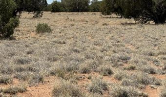 15 Pine Dr, Concho, AZ 85924