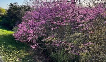 117 HARVESTER Dr, Lake Frederick, VA 22630