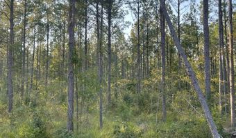 0 Pisgah Rd 4, Brandon, MS 39047