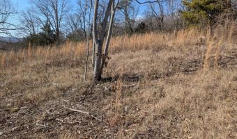 Whispering Court, Bean Station, TN 37708