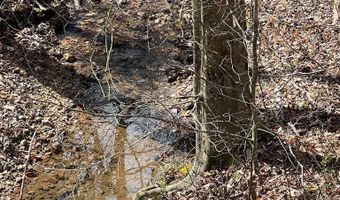 Friends Mission Road lot 4010-19-1, Ararat, VA 24053