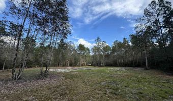 51235 Phillipsville Rd, Bay Minette, AL 36507
