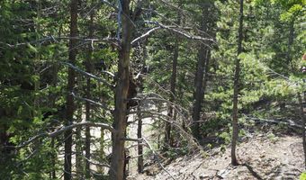 0 Gamble Gulch, Black Hawk, CO 80422
